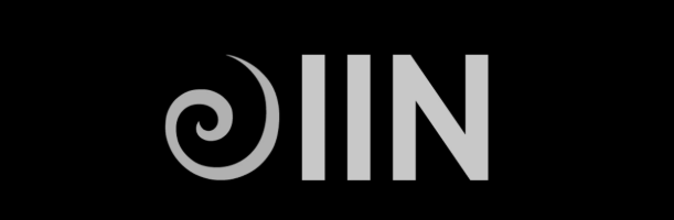 iin_logo